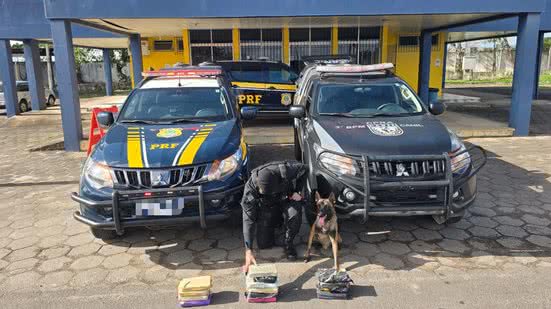 Polícia apreende 15kg de maconha em ônibus que fazia rota de Cuiabá a Maceió - Divulgação / PRF-AL