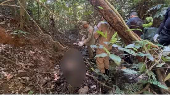 Corpo de turista russo é encontrado em mata no RJ após 115 dias desaparecido - Reprodução