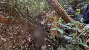 Corpo de turista russo é encontrado em mata no RJ após 115 dias desaparecido - Reprodução