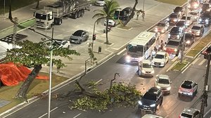 Imagem Galho de amendoeira de grande porte cai e bloqueia trânsito na Avenida da Paz