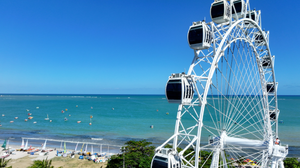 Divulgação / Roda Maceió