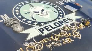 Suspeito de tráfico é preso com mais de 330 pedras de crack em Messias - Ascom PMAL