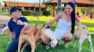 Zezé Di Camargo e Graciele Lacerda recebem animais em situação de rua - Reprodução / Instagram