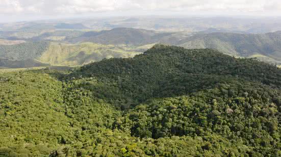 APA de Murici - Foto Agência Alagoas