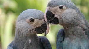 Foto: Reprodução/Governo Federal