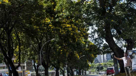 Imagem de arquivo - Marcelo Camargo / Agência Brasil