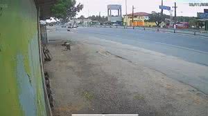 Em alta velocidade, motorista atropela duas pessoas na faixa de pedestre, em Marechal - Reprodução