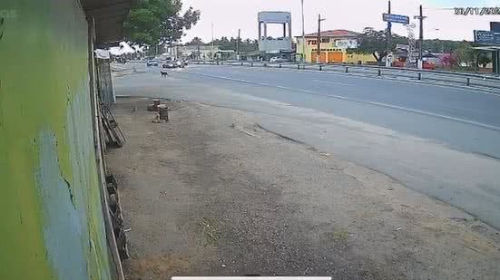 Imagem Motorista que atropelou primos em Marechal Deodoro já tinha passagem por crime de trânsito