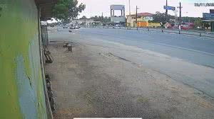 Imagem Motorista que atropelou primos em Marechal Deodoro já tinha passagem por crime de trânsito