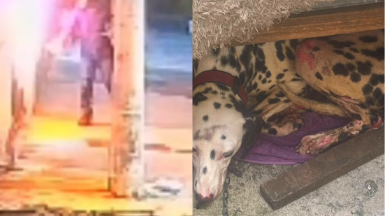 Divulgação / Delegado Leonam Pinheiro