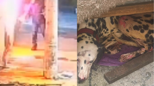 Divulgação / Delegado Leonam Pinheiro