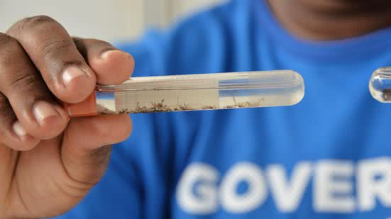 Ministério da Saúde aponta queda de 58% nos casos de dengue em Alagoas - Carla Cleto e Olival Santos / Ascom Sesau