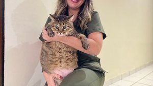 Imagem Obesidade pet: como identificar e prevenir