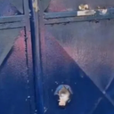 Reprodução / Redes sociais