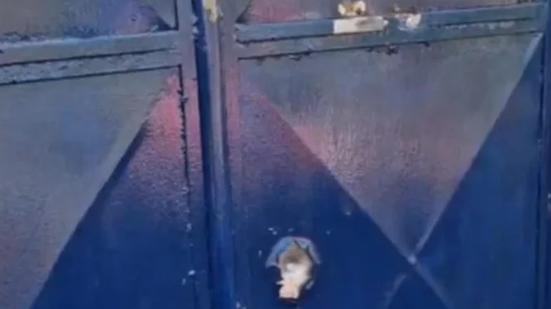 Reprodução / Redes sociais