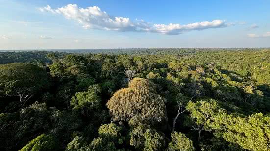 Tânia Rego/Agência Brasil