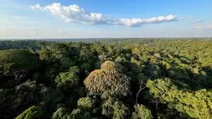 Tânia Rego/Agência Brasil