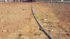 Imagem meramente ilustrativa