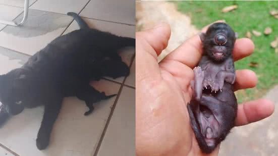 Arquivo pessoal/Gilberto Ponciano