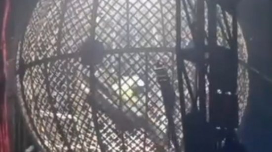 Homem é trancado em 'globo da morte' após suposta invasão a circo, em Penedo - Reprodução