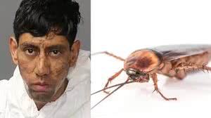 Reprodução/ Bernalillo County Sheriff's Office/ Freepik