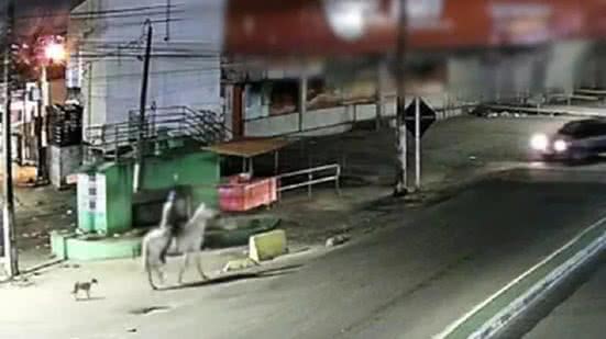 Homem é preso em Pernambuco após ser filmado com mulher morta em cavalo - Reprodução / Redes sociais