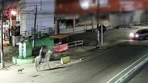 Homem é preso em Pernambuco após ser filmado com mulher morta em cavalo - Reprodução / Redes sociais