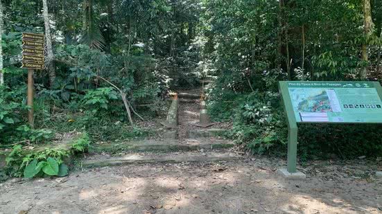 Foto: Reprodução/Parque Nacional da Tijuca