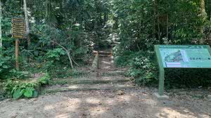 Foto: Reprodução/Parque Nacional da Tijuca