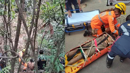 Imagem Homem cai em buraco e sobrevive quatro dias no local comendo mangas