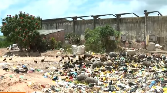Lixão funciona a céu aberto e monta cenário de insalubridade no município - Foto: Reprodução/ TV Pajuçara