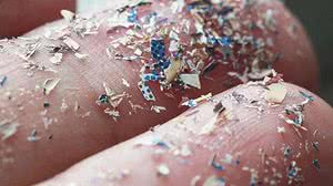 Glacier Fresh/Divulgação