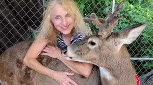 Reprodução/Redes sociais