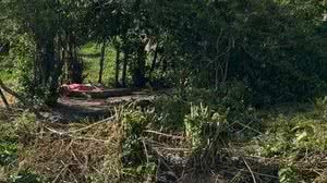 Reprodução/Já é Notícia