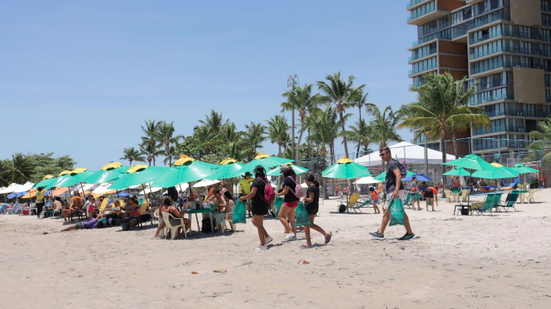 Marcela dos Anjos/IMA