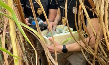 Divulgação / Polícia Civil