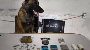 Imagem Polícia Militar deflagra operação contra o crime organizado em Arapiraca