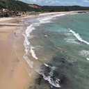 Imagem de arquivo - Biota