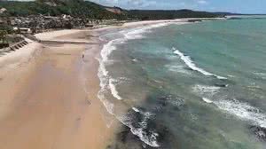 Imagem de arquivo - Biota