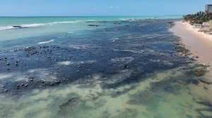 Semarh prevê fim de semana de calor intenso e ventos fortes em Alagoas - Instituto Biota