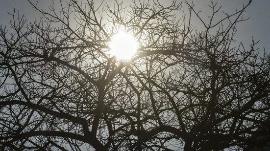 Condição se estende pelo menos até o domingo (09) - Foto: Agência Brasil