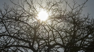 Condição se estende pelo menos até o domingo (09) - Foto: Agência Brasil