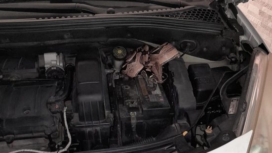 Foto: Cortesia ao TNH1