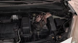 Foto: Cortesia ao TNH1