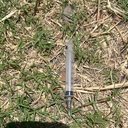 Vigilância Sanitária identifica descarte irregular na Ponta Grossa - Visa Maceió