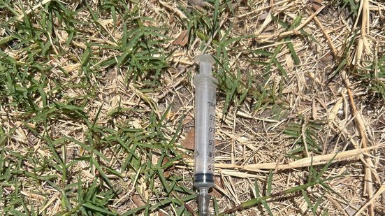 Vigilância Sanitária identifica descarte irregular na Ponta Grossa - Visa Maceió