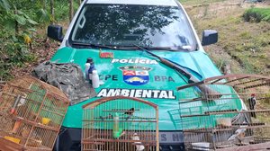 Animais e armas apreendidos durante a ação policial - Foto: Cortesia/BPA