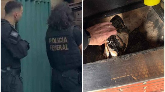 Foto: Polícia Federal / Divulgação