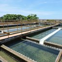 Foto: Divulgação/Casal