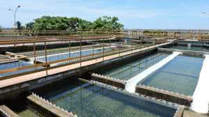 Foto: Divulgação/Casal